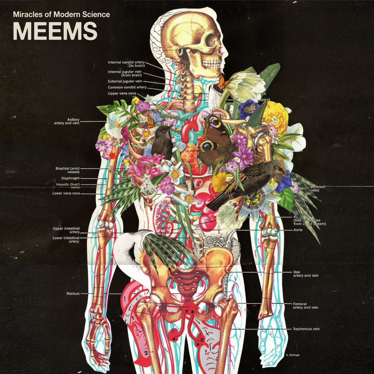 Miracles of Modern Science 'MEEMS' album cover: Anatomical illustration of human body overlaid with colorful flowers, birds, and butterflies. Labeled veins and organs visible.